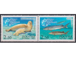 Природа Каспийского моря. Сцепка 2003г.