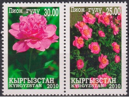 Киргизия. Цветы. Сцепка 2010г.