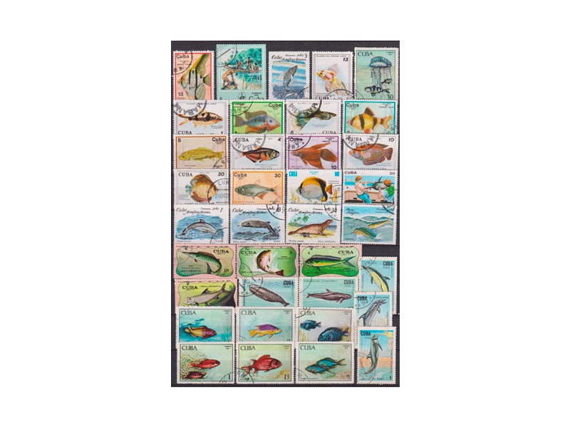Куба. Морская фауна. Почтовые марки.