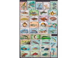 Куба. Морская фауна. Почтовые марки.