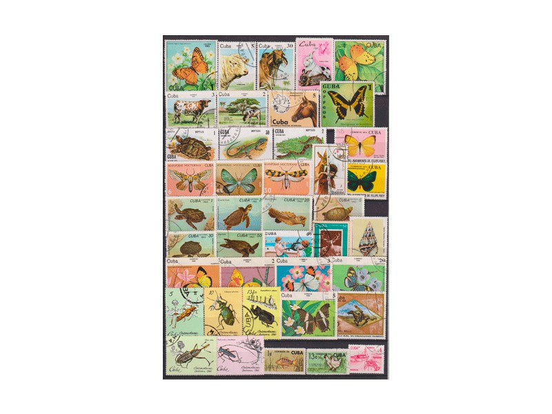 Куба. Мир фауны. Почтовые марки.