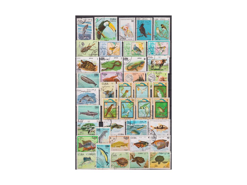 Куба. Животный мир. Почтовые марки.
