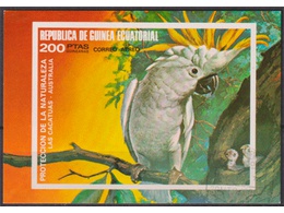 Экваториальная Гвинея. Птица попугай. Почтовый блок 1974г.