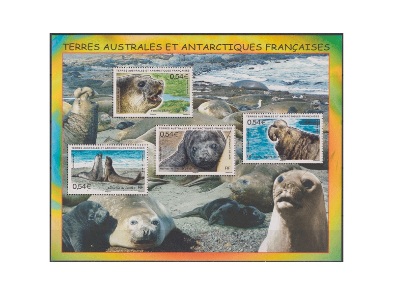 Французские Антарктические территории. Малый лист 2008г.
