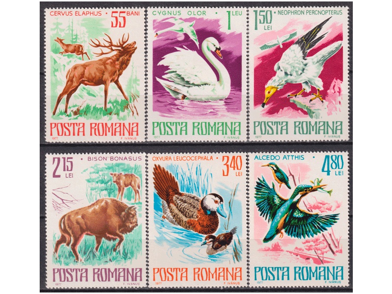 Румыния. Фауна. Серия марок 1977г.