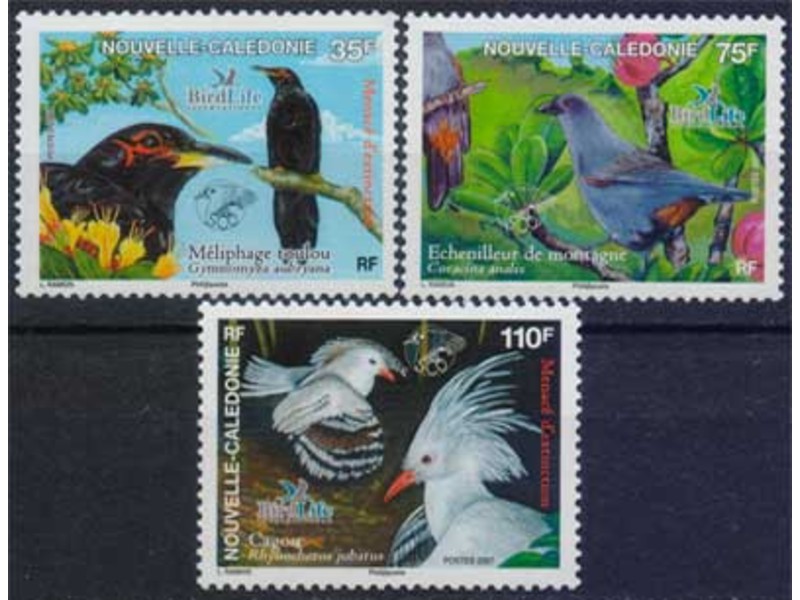 Новая Каледония. Птицы. Марки 2007г.