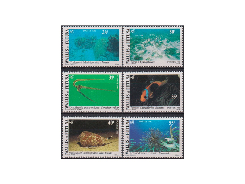 Уоллис и Футуна. Морская фауна. Серия марок 1981г.