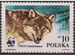Польша. Волк. Почтовая марка 1985г.