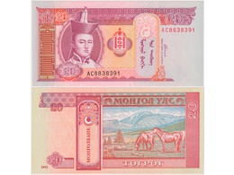 Монголия. Банкнота 20 тугриков 2002г.