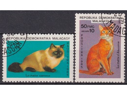 Мадагаскар. Кошки. Почтовые марки 1985г.
