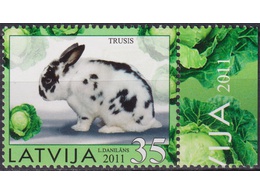 Латвия. Кролик. Почтовая марка 2011г.