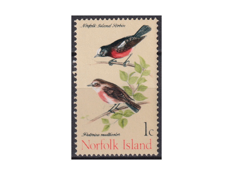 Норфолк. Птицы. Почтовая марка 1970г.