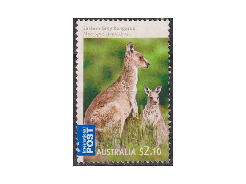 Австралия. Кенгуру. Почтовая марка 2009г.