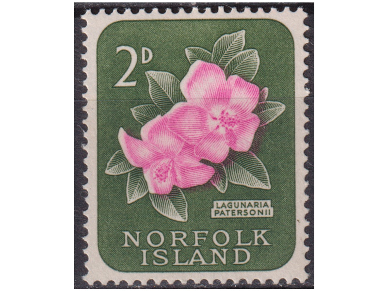 Норфолк. Цветы. Почтовая марка 1960г.