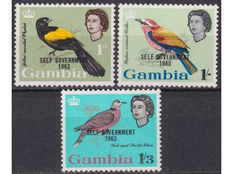 Гамбия. Птицы. Филателия 1963г.