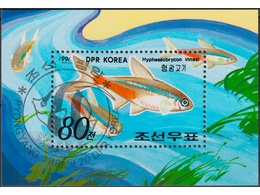 Северная Корея. Рыбы. Почтовый блок 1991г.