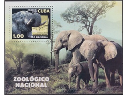 Куба. Слоны. Почтовый блок 2008г.