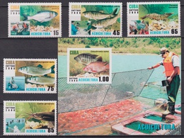 Куба. Рыбы. Филателия 2008г.