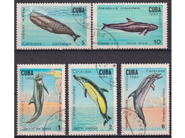 Куба. Фауна моря. Филателия 1984г.