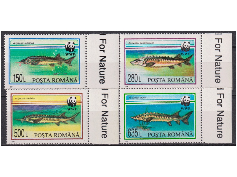 Румыния. Рыбы. Серия марок 1994г.