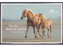 Германия. Лошади. Почтовая марок 2007г.